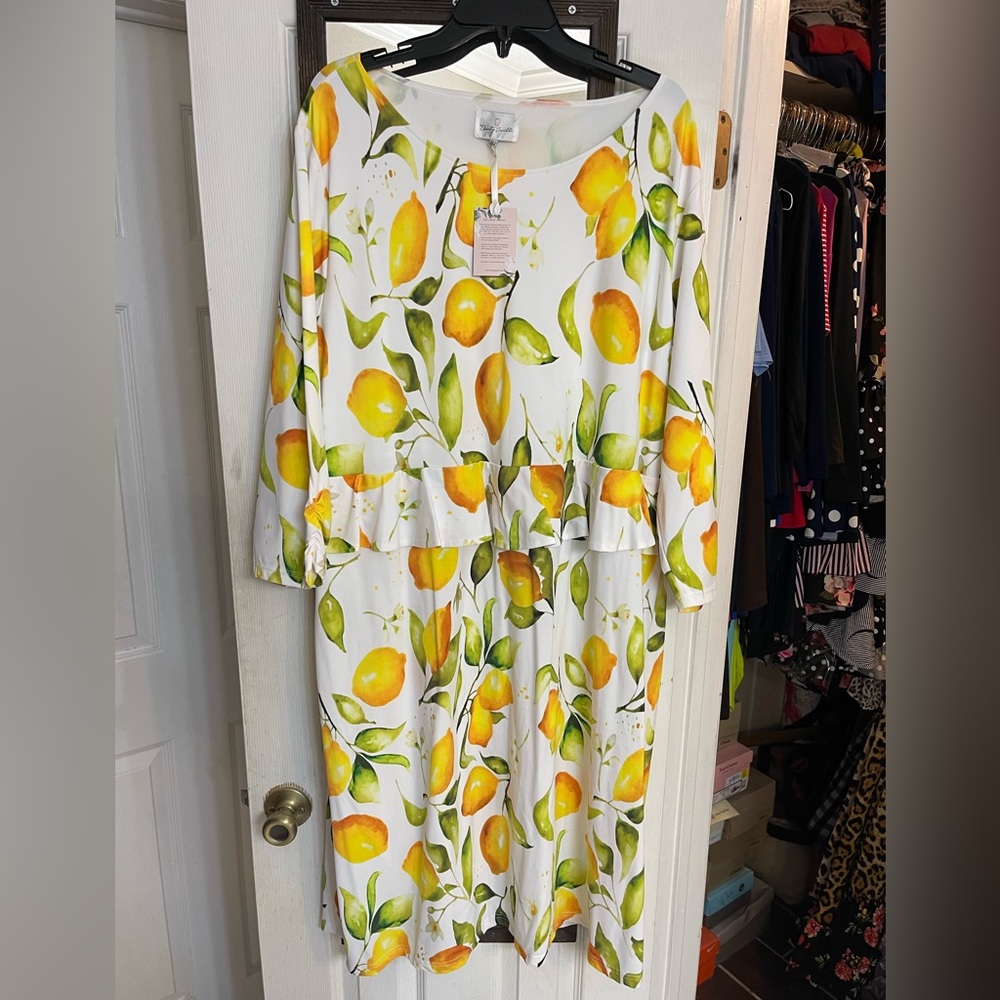 Dainty Jewells 2x swim dress lemons NWT